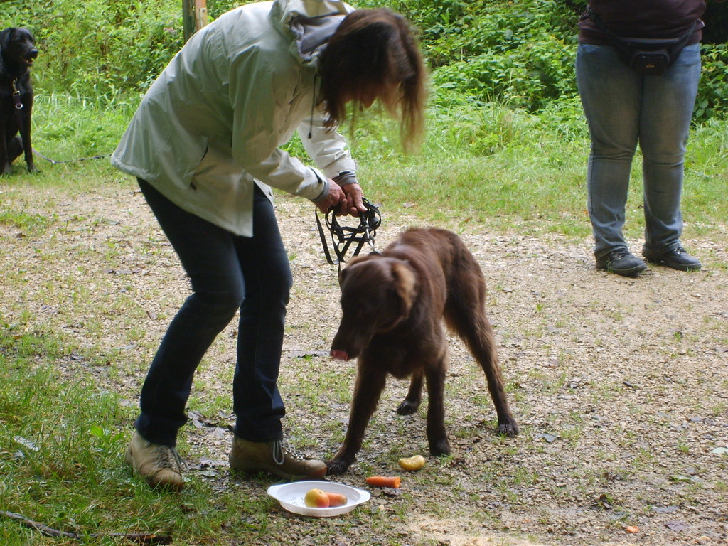 Jacqueline & Zara (Futter-Taxi)
