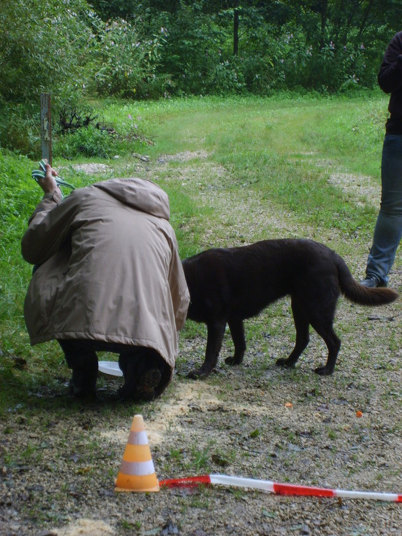 Ronnie & Sinja (Futter-Taxi)