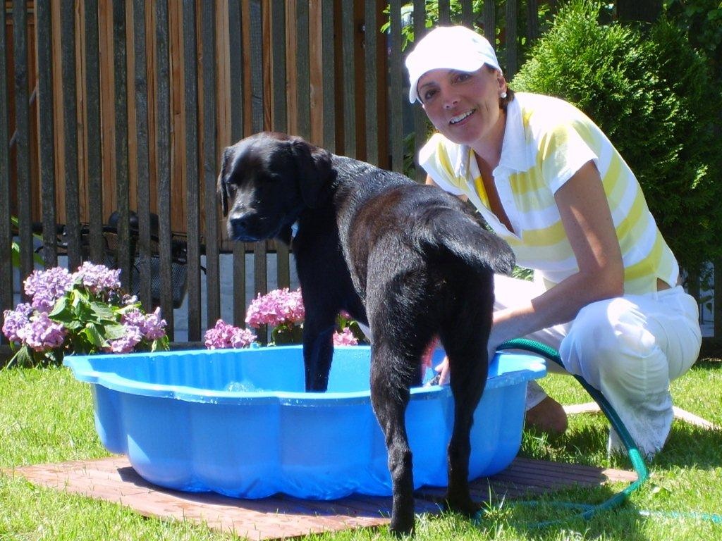 Sämy beim Baden