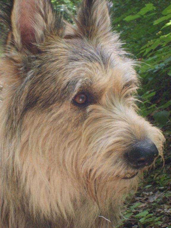 Leiko