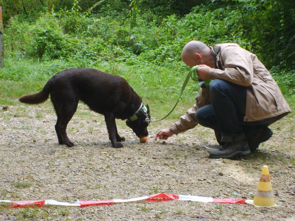 Ronnie & Sinja (Futter-Taxi)