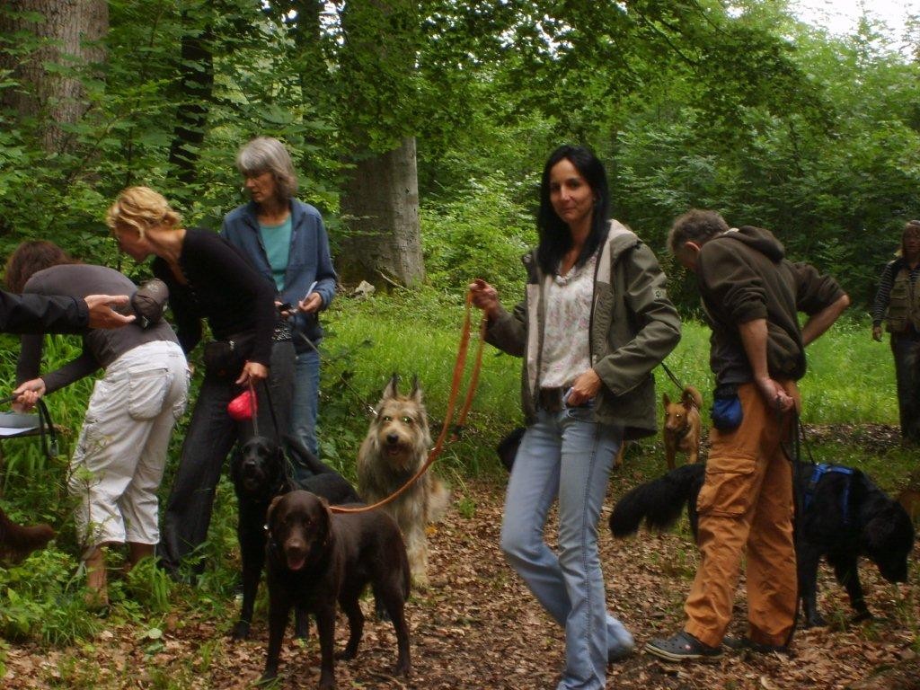 durch den Wald