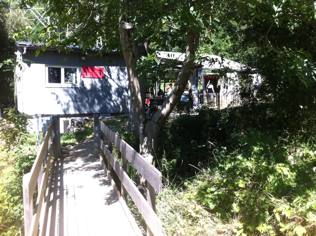 Hundeschule in Ittingen
