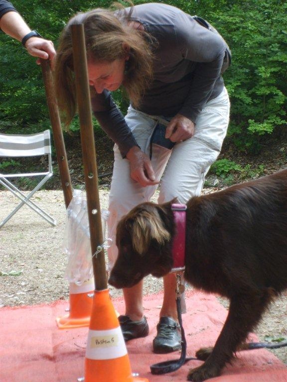 Jacqueline & Zara (Aufgabe PET-Flaschen)