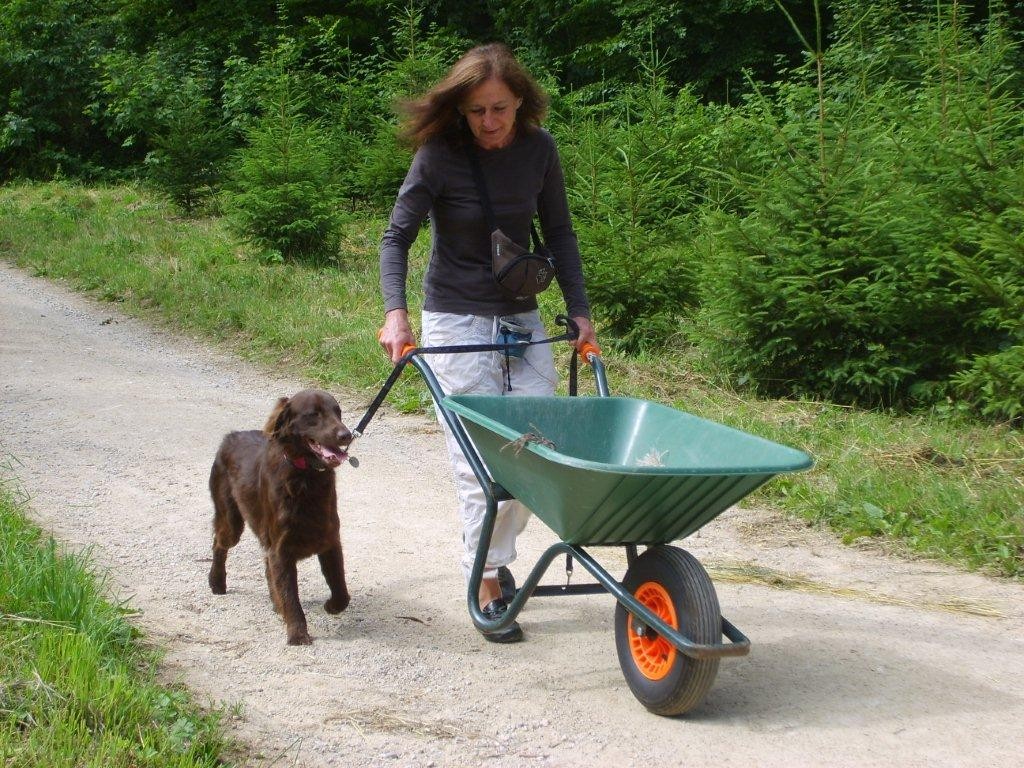 Jacqueline & Zara (Aufgabe Schubkarren)