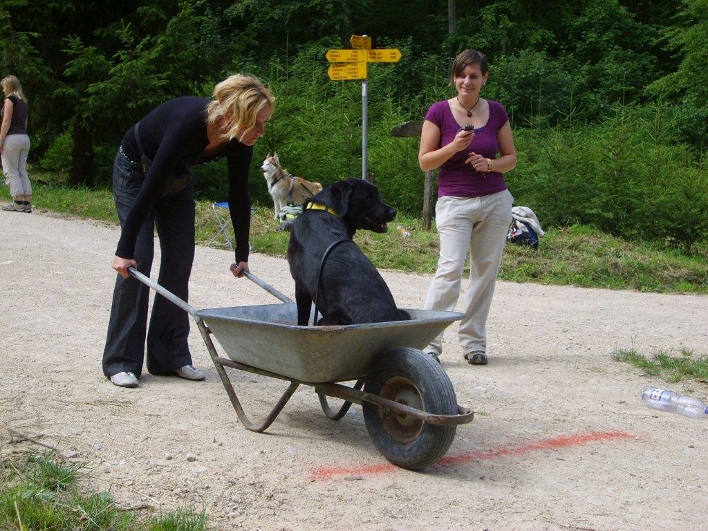 Fränzi & Sämy (Aufgabe Schubkarren)