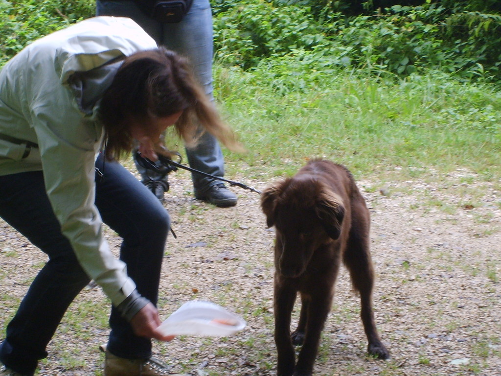 Jacqueline & Zara (Futter-Taxi)
