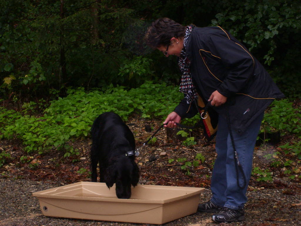 Ulla & Gerry (Sitz und Platz im Wasser)