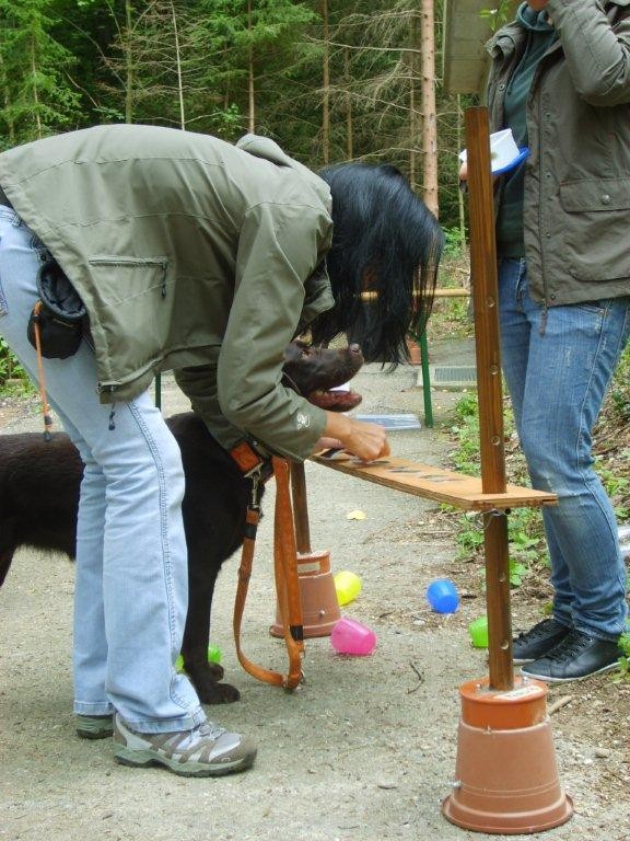 Tanja & Sinja (Aufgabe Becher)