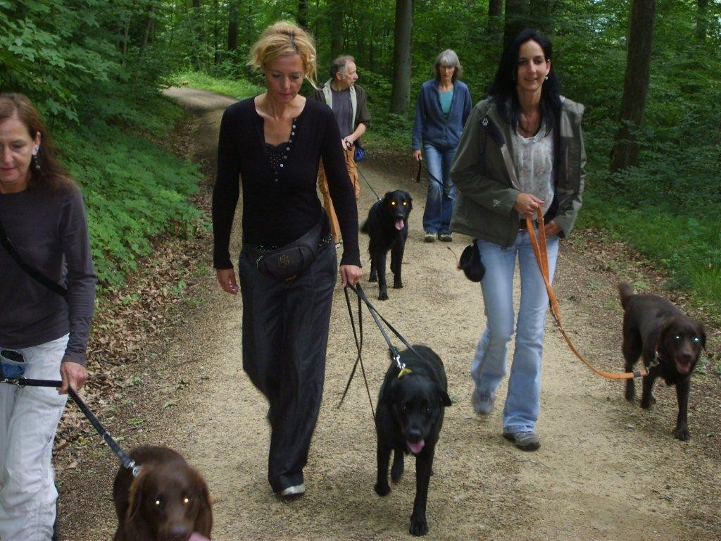 Spaziergang zur nächsten Aufgabe