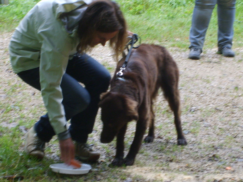 Jacqueline & Zara (Futter-Taxi)