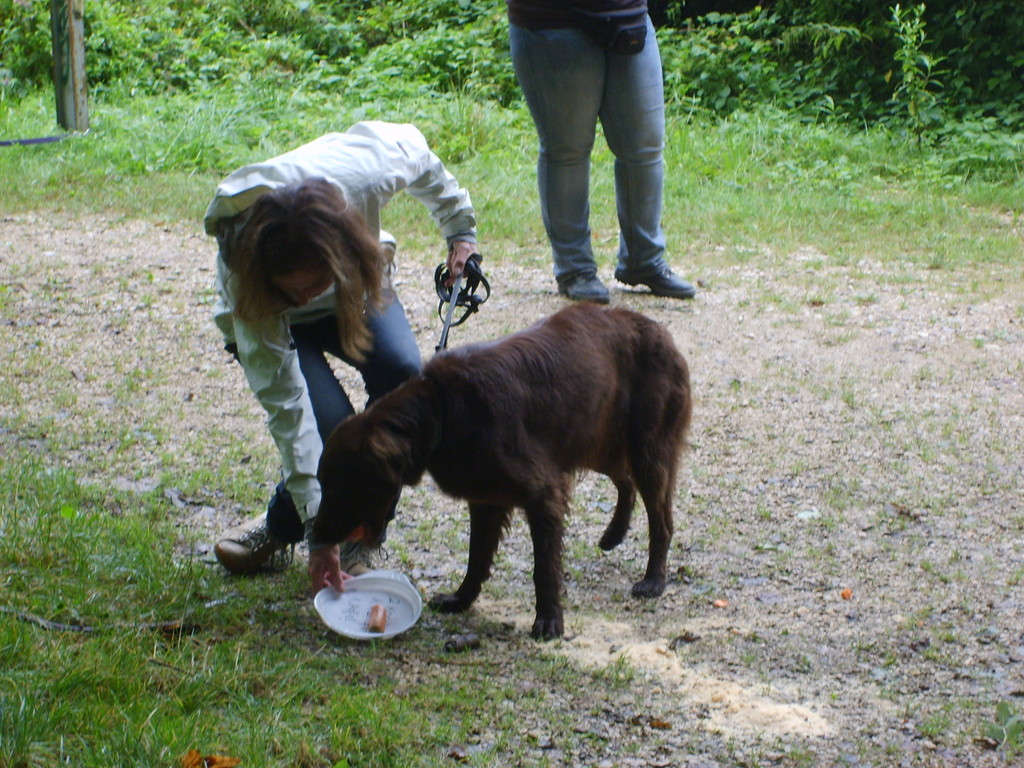 Jacqueline & Zara (Futter-Taxi)