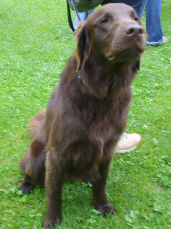 Zara...schnupper schnupper...was riecht den da so fein?
