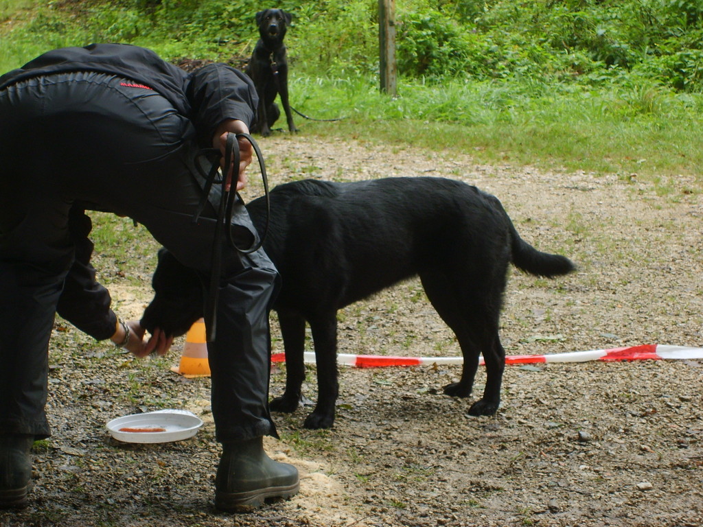 Fränzi & Sämy (Futter-Taxi)