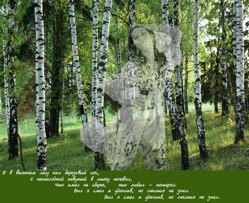 Аккорды. Стих я в весеннем лесу пил берёзовый. С ненаглядной певуньей. Певуньи картина. Екатерина климова мы из будущего сеновал.