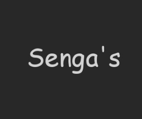 Senga's - Onlineshop für Blachenprodukte