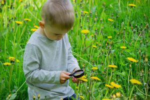 enfant observation nature