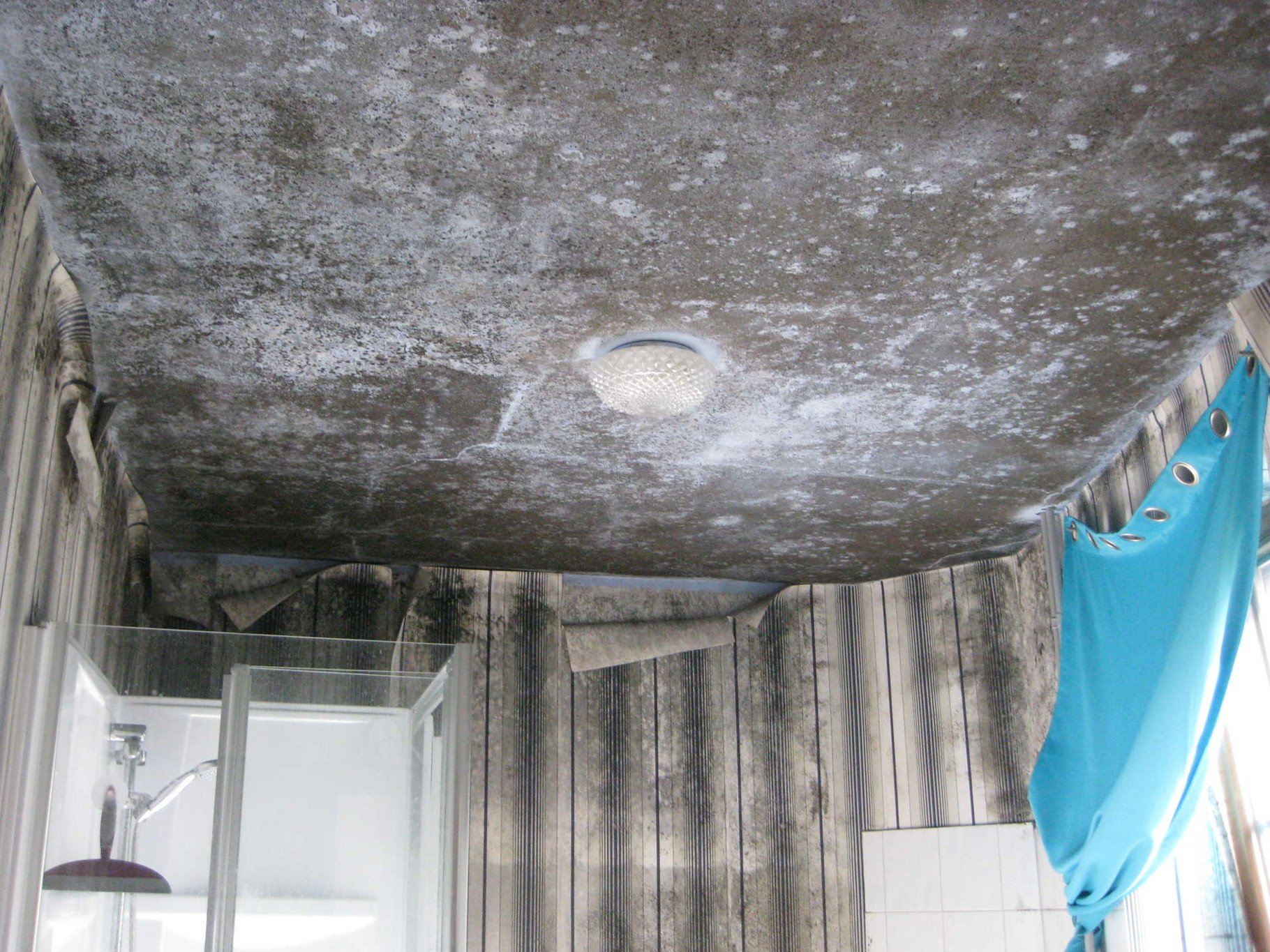 Moisissure Mur Salle De Bain Locataire - Isotope Design