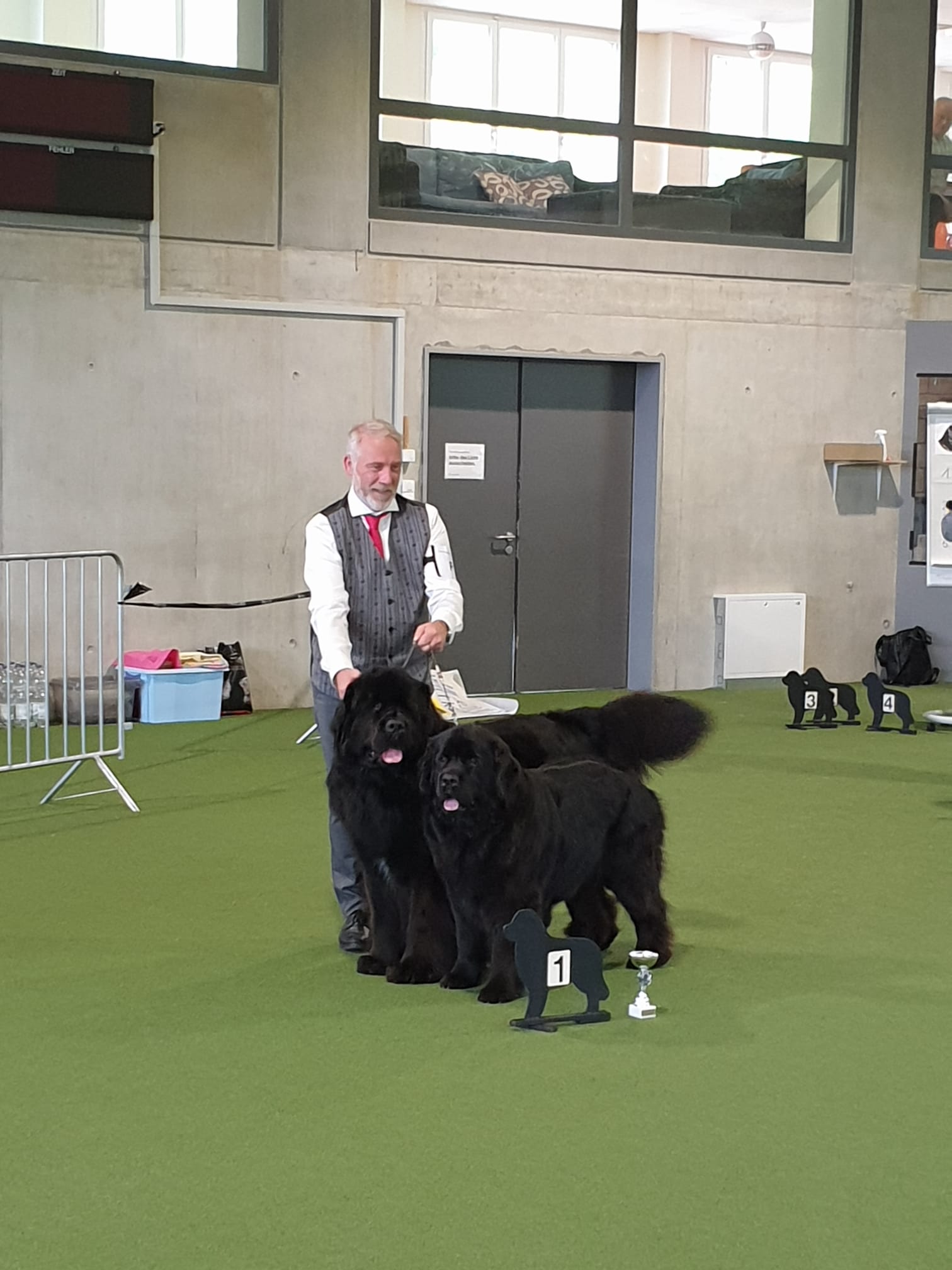 Paarklasse Platz 1: Ilay und Ivy Neufibär vom Rhein