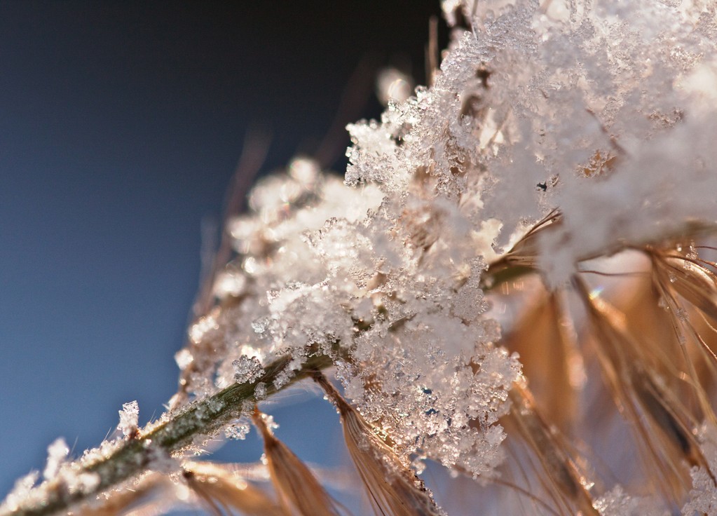 beauté de la nature