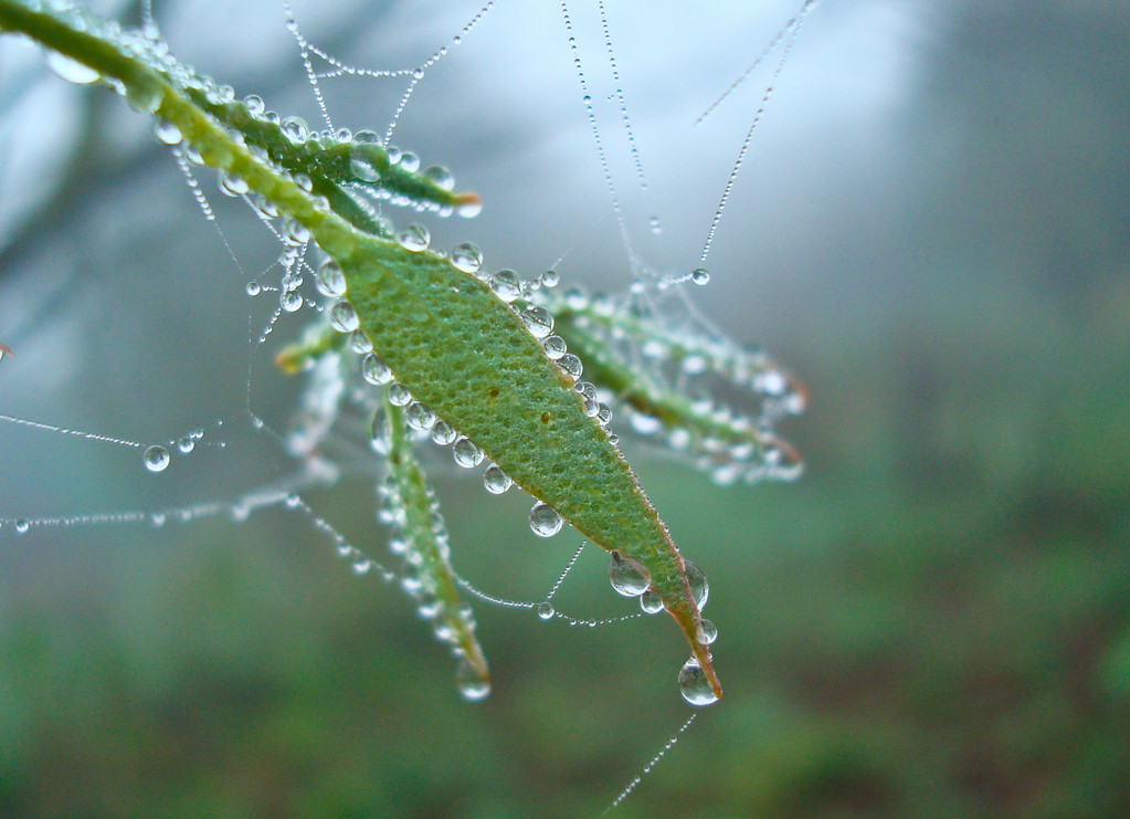 beauté de la nature