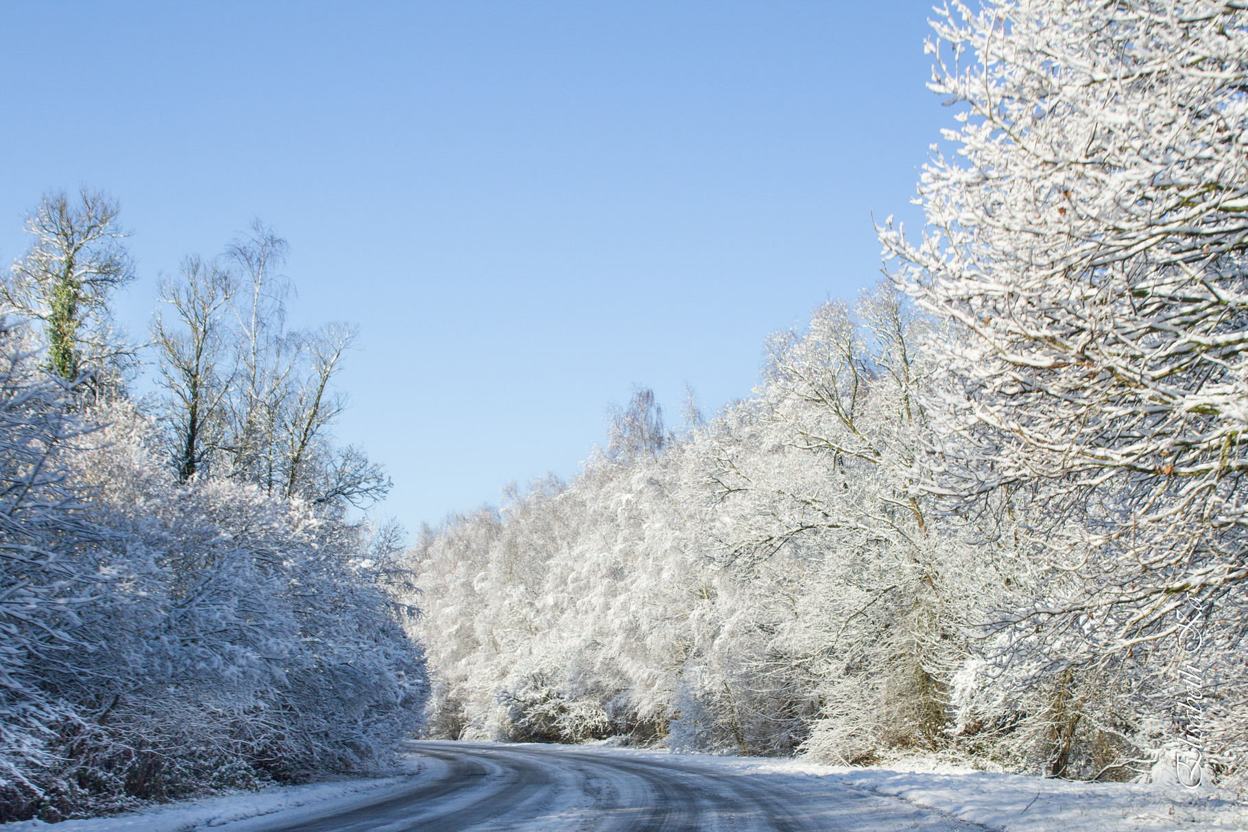 parc de Jumet en hiver