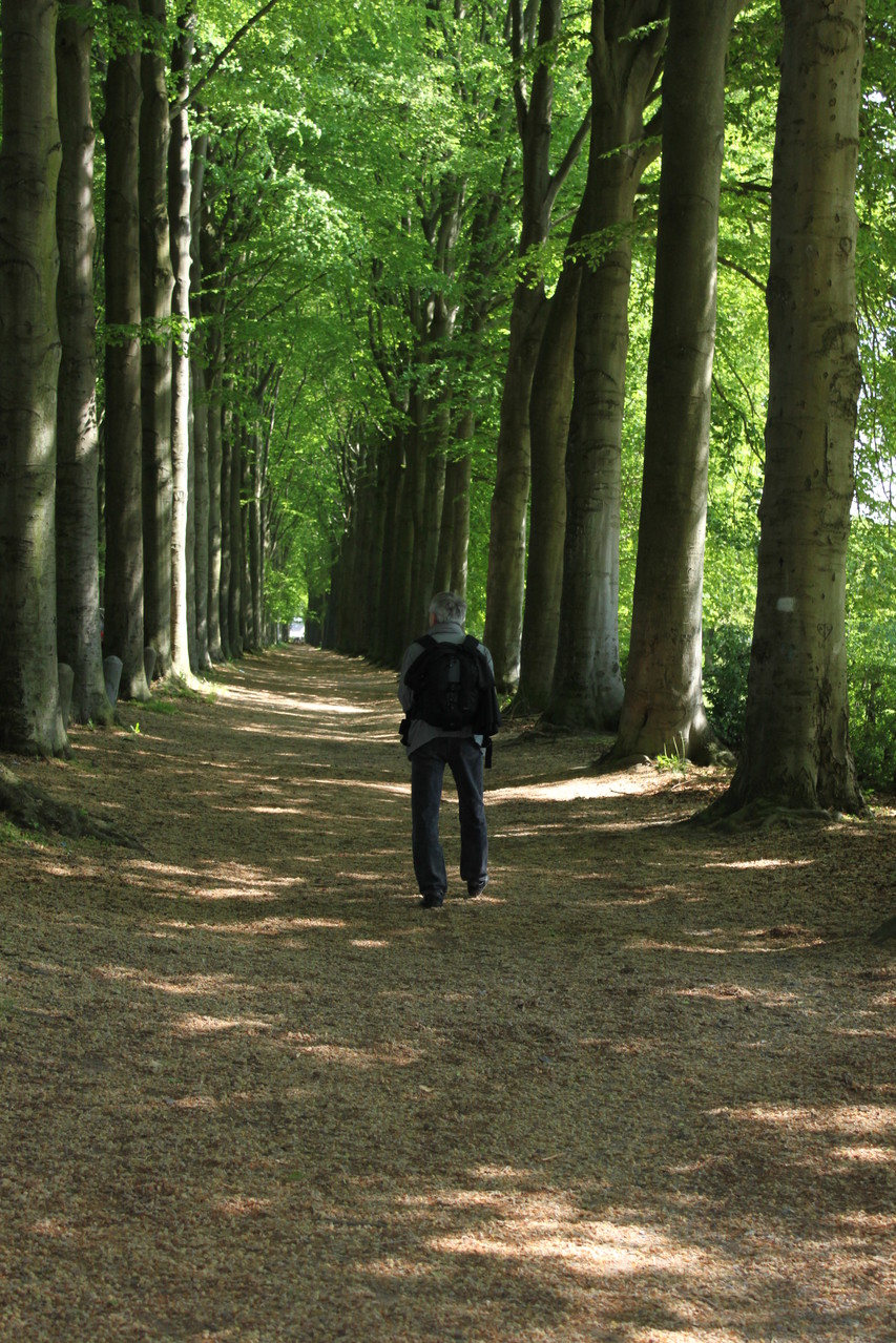 long chemin de solitude