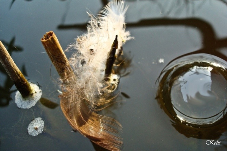 beauté de la nature