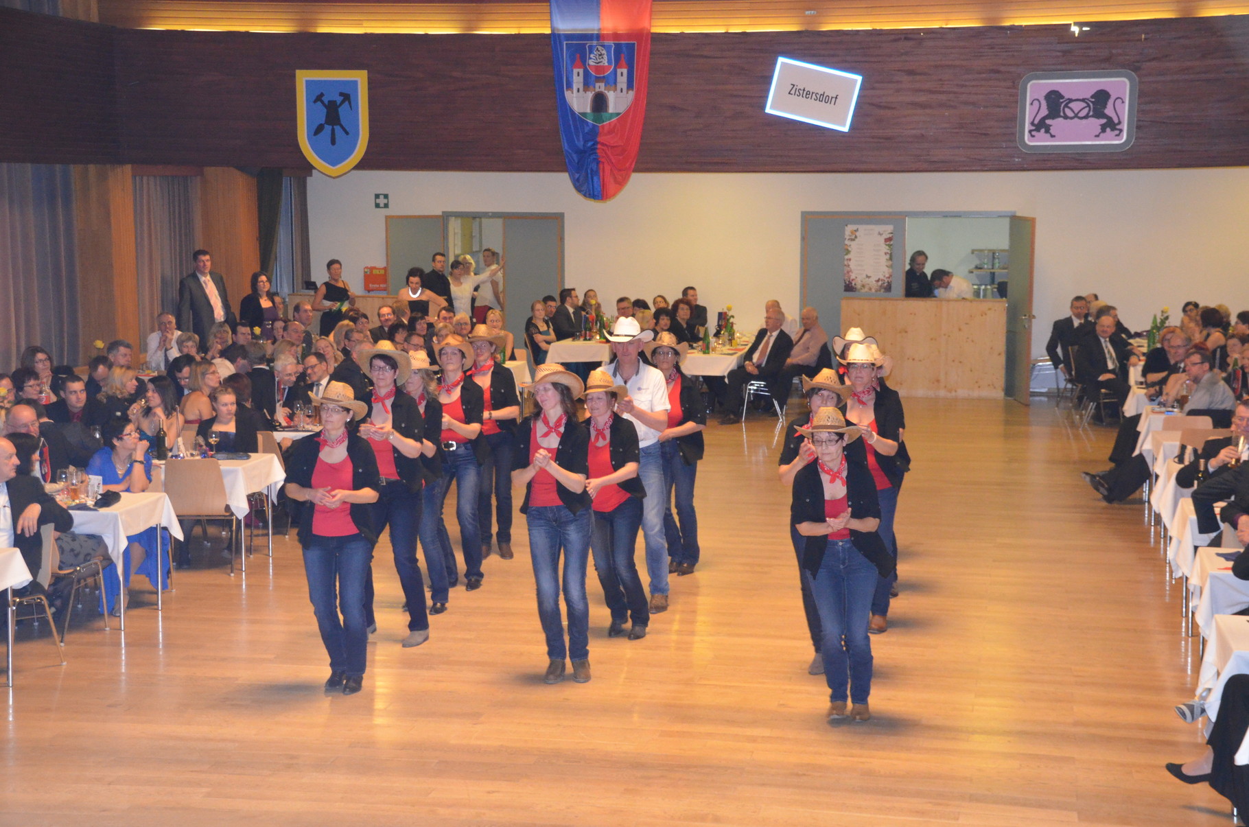 Auftritt Flamin´ Boots Zistersdorf Balle9e 06.02.2016