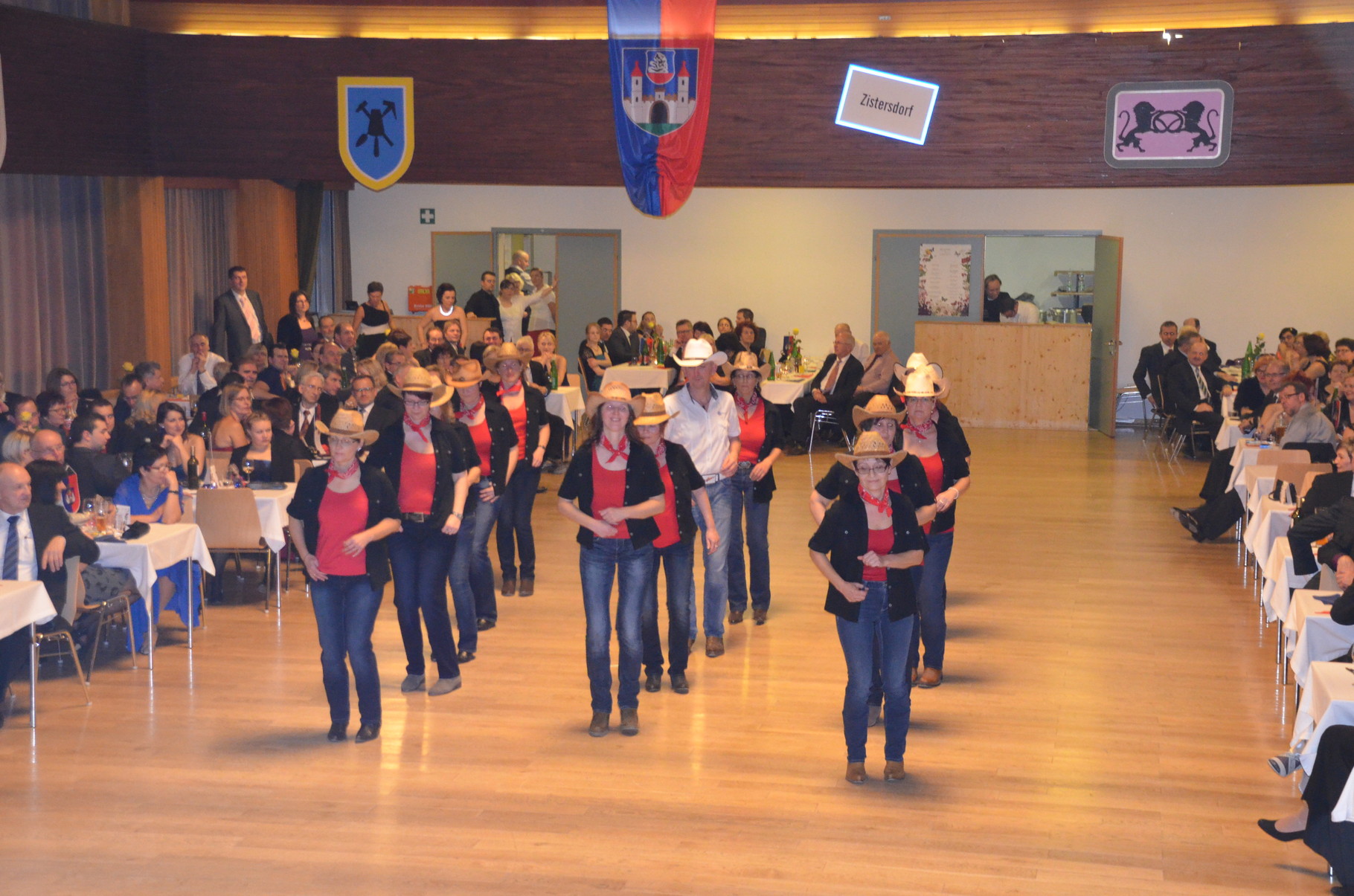 Auftritt Flamin´ Boots Zistersdorf Balle9e 06.02.2016