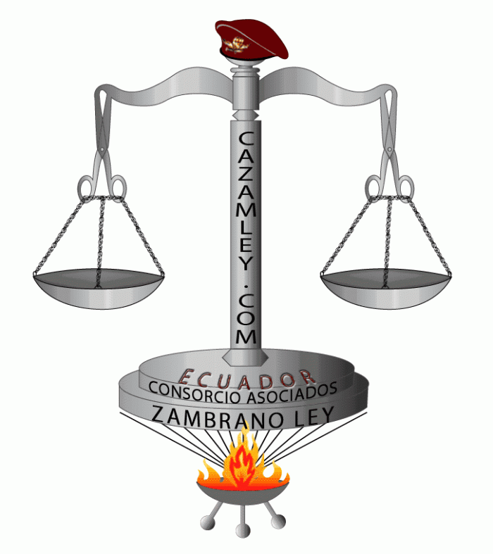 Logo cazamley 