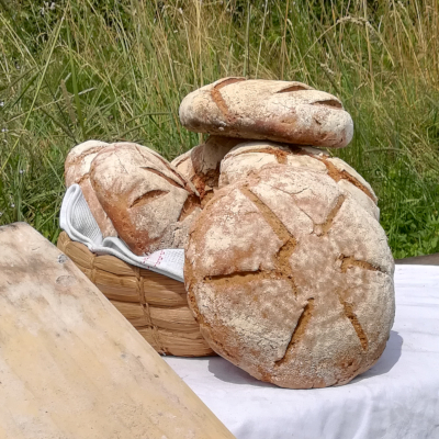 Nutzung Lehmofen - Brotbacken im Holzofen- Salzburg Oberösterreich