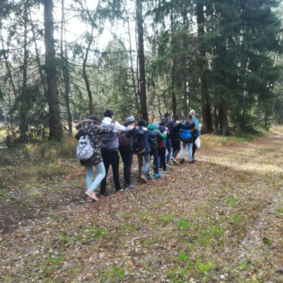 Walderlebnis in der Neuen Mittelschule Bürmoos