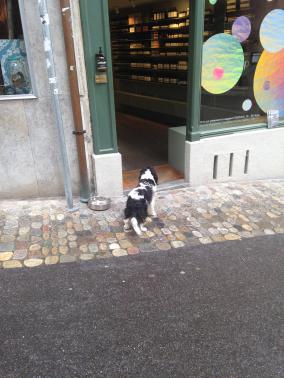 Ich war mir fast sicher, dass es hier sein muss ...