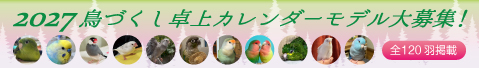 2027年 セキセイインコ、コザクラインコ、オカメインコ、文鳥カレンダーモデル募集