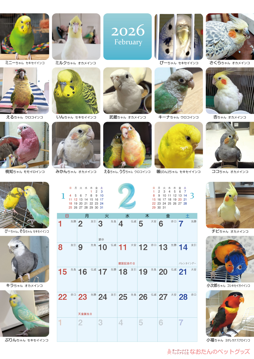 2026年鳥づくし壁掛けカレンダー2月