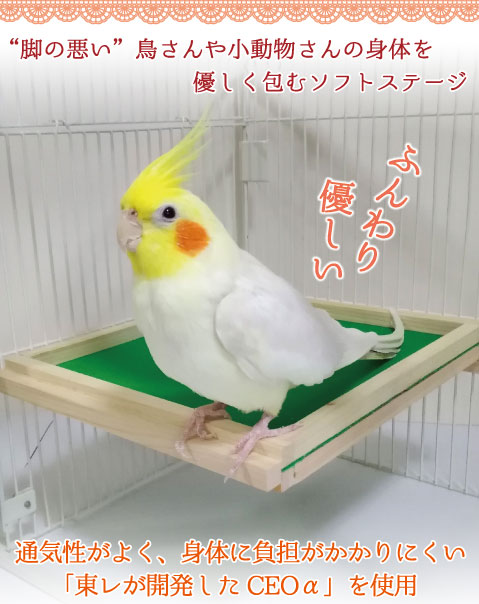 脚の悪い鳥や小動物の身体を優しく包むソフトステージ