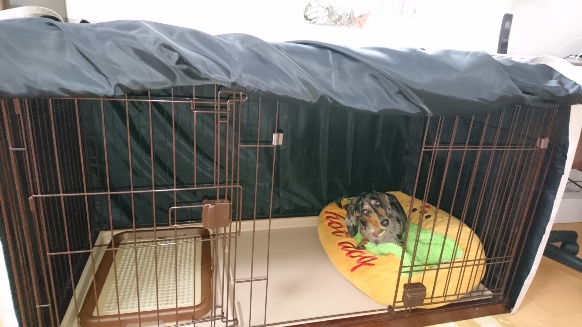 鳥かご カバー ケージ カバー おやすみ カバー お客様の声9 オーダーメイドアトリエ なおたんのペットグッズ 鳥かご カバー ケージ カバー おやすみ カバー お客様の声9 オーダーメイドアトリエ なおたんのペットグッズ