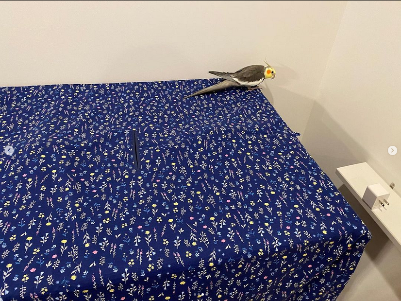 インコ 保温 カバー(防音 ケージ カバー 鳥かご 飛び散り 防止 インコ 保温 カバー(防音 ケージ カバー 鳥かご 飛び散り 防止