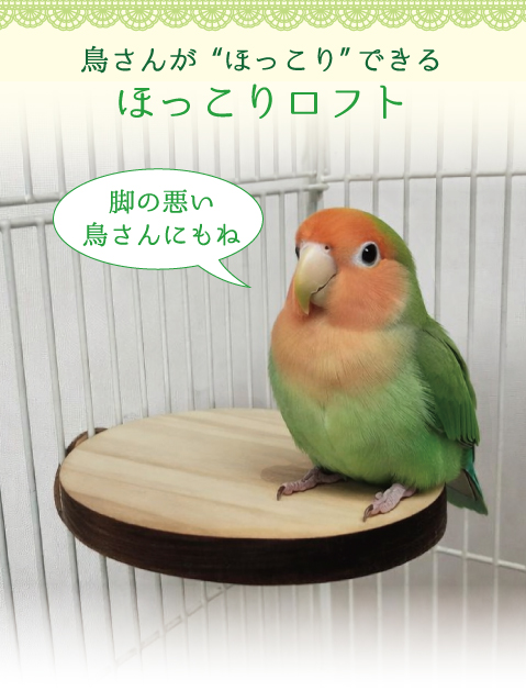 鳥用 ほっこりロフト（インコ 円形の丸い止まり木）
