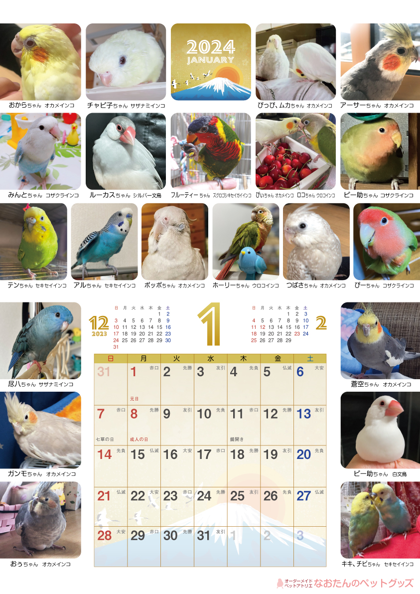 2024年 鳥づくし壁掛けカレンダー（全251羽掲載） 小鳥