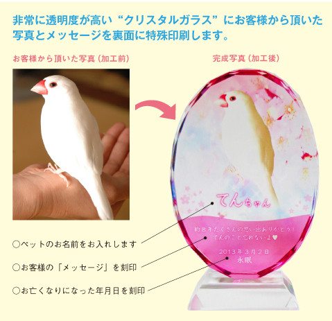 メモリアル プレート 説明