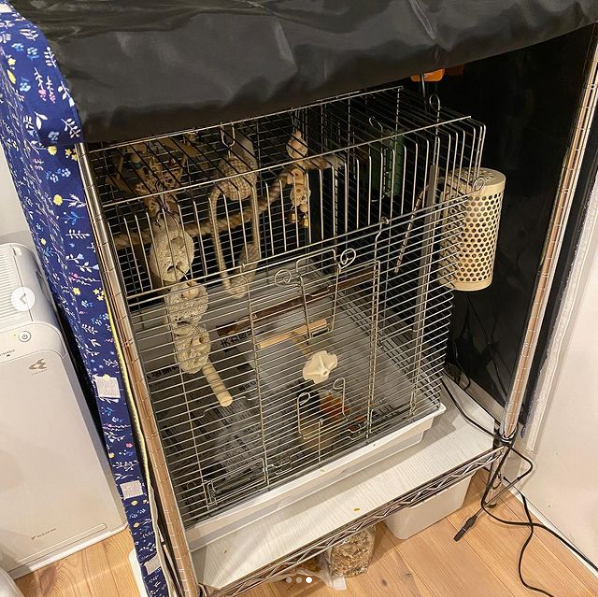 セキセイ インコ おやすみ カバー(文鳥 アクリル ケージ)評判 セキセイ インコ おやすみ カバー(文鳥 アクリル ケージ)評判