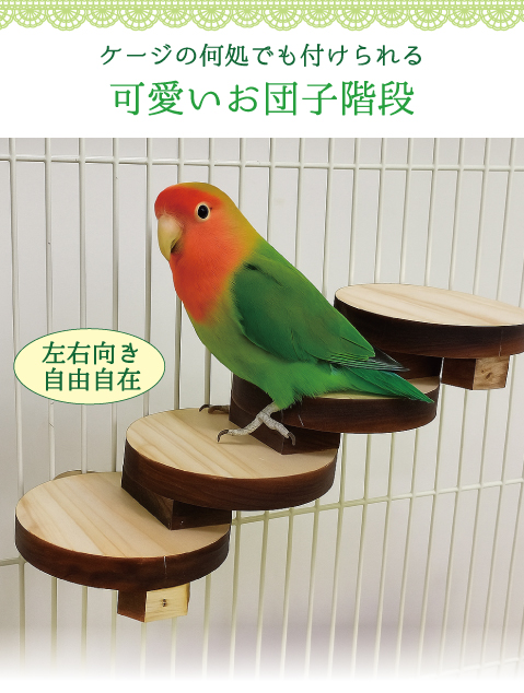 鳥用 お団子階段 インコ はしご 梯子