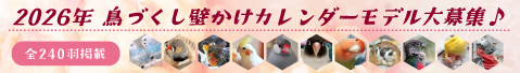 2024年 鳥づくし 壁掛けカレンダー インコ カレンダー,文鳥 カレンダー 2024,インコ カレンダー 2024,鳥 カレンダー 2024,小鳥 カレンダー 2024予約 カレンダー,カレンダー 予約