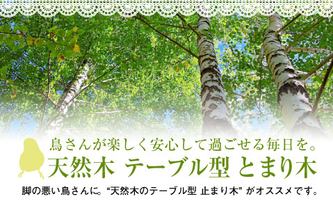 木製コーナーとまり木 90 | 株式会社スドー｜観賞魚・水草