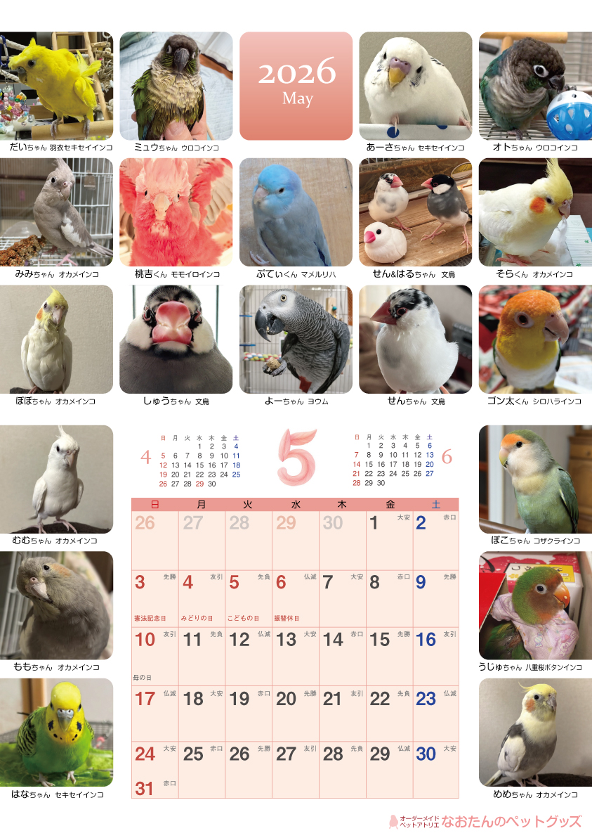 2026年鳥づくし壁掛けカレンダー5月