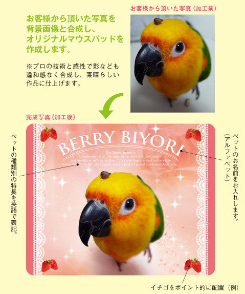 写真を背景画像と合成