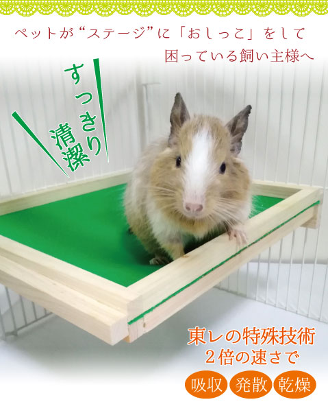 デグー・フクロモモンガ・シマリスが“ステージ”に 「おしっこ」をして困っている飼い主様へ