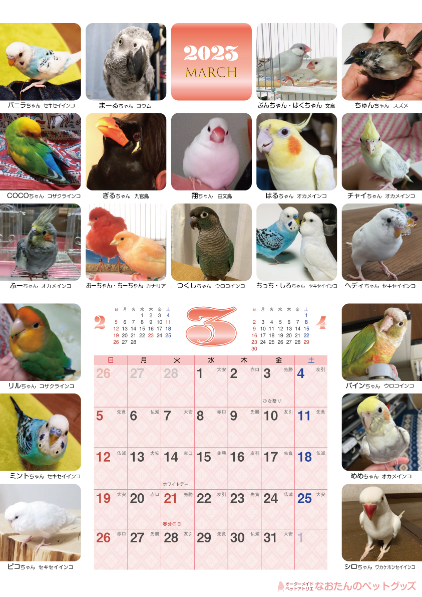 2023年 鳥づくし壁掛けカレンダー(全240羽掲載) 小鳥 2023年 鳥づくし壁掛けカレンダー(全240羽掲載) 小鳥